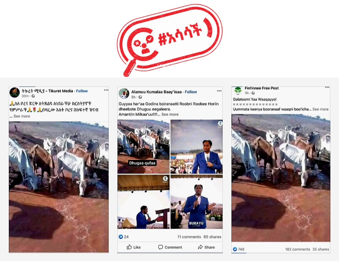 The communities in the Borena zone of the Oromia region have been affected by severe drought