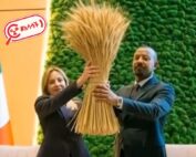 የጣልያኗ ጠቅላይ ሚኒስትር ጆርጂያ ሜሎኒ የስንዴ ነዶ ይዘው የሚታዩበት ምስል በአርቴፊሻል ኢንተለጀንስ በቅንብር የተሰራ ነው