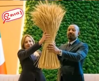 የጣልያኗ ጠቅላይ ሚኒስትር ጆርጂያ ሜሎኒ የስንዴ ነዶ ይዘው የሚታዩበት ምስል በአርቴፊሻል ኢንተለጀንስ በቅንብር የተሰራ ነው የጣልያኗ ጠቅላይ ሚኒስትር ጆርጂያ ሜሎኒ የስንዴ ነዶ ይዘው የሚታዩበት ምስል በአርቴፊሻል ኢንተለጀንስ በቅንብር የተሰራ ነው