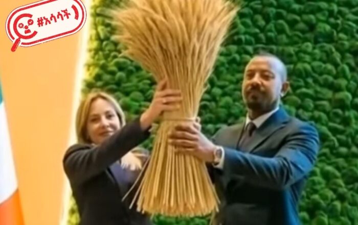 የጣልያኗ ጠቅላይ ሚኒስትር ጆርጂያ ሜሎኒ የስንዴ ነዶ ይዘው የሚታዩበት ምስል በአርቴፊሻል ኢንተለጀንስ በቅንብር የተሰራ ነው